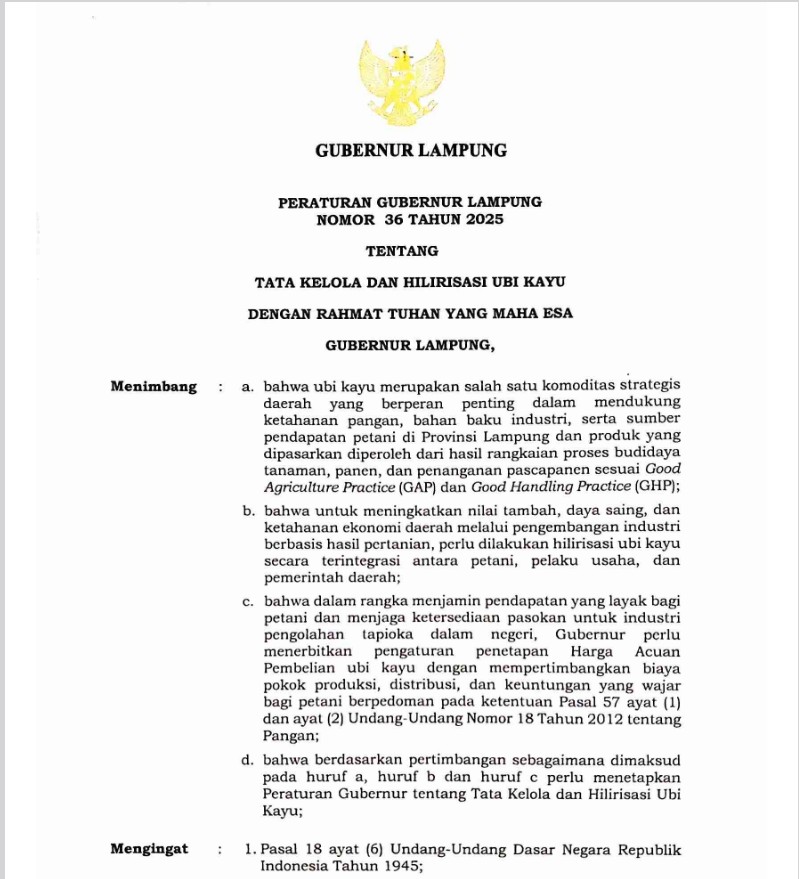 Pergub Lampung Nomor 36 Tahun 2025: Aturan Tata Kelola dan Hilirisasi Ubi Kayu Resmi Diundangkan